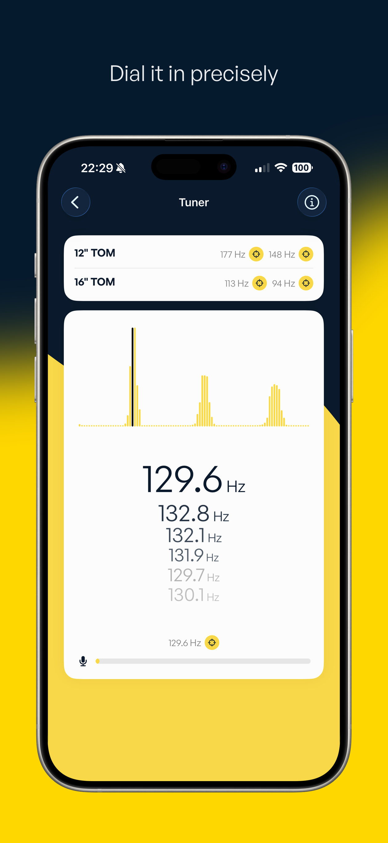Gold Tune precision tuner screen